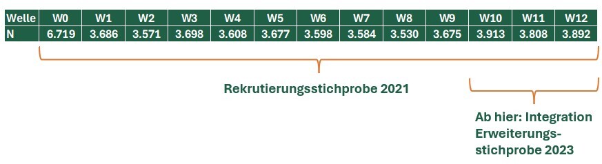 Abbildung 1: Übersicht über Befragungswellen (W) und Teilnehmendenzahlen (N) des DeZIM.panels. 